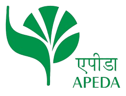 images-removebg-preview