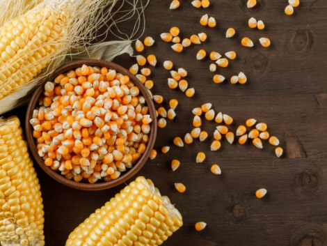 corn-grains-clay-plate-with-cobs-flat-lay-wooden-table